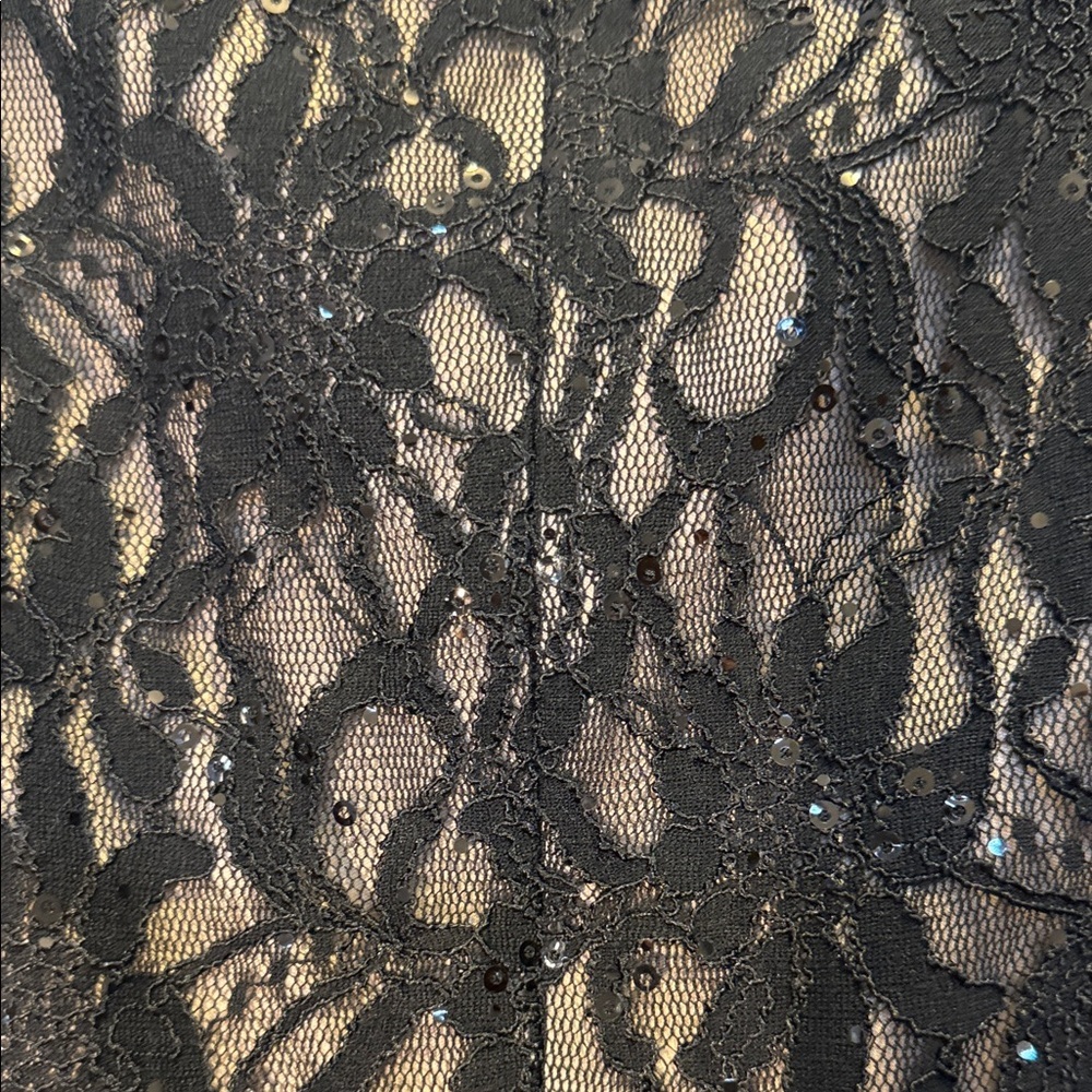 DressBarn Collection Elegant Black Lace Evening Dress - Picture 14 of 14